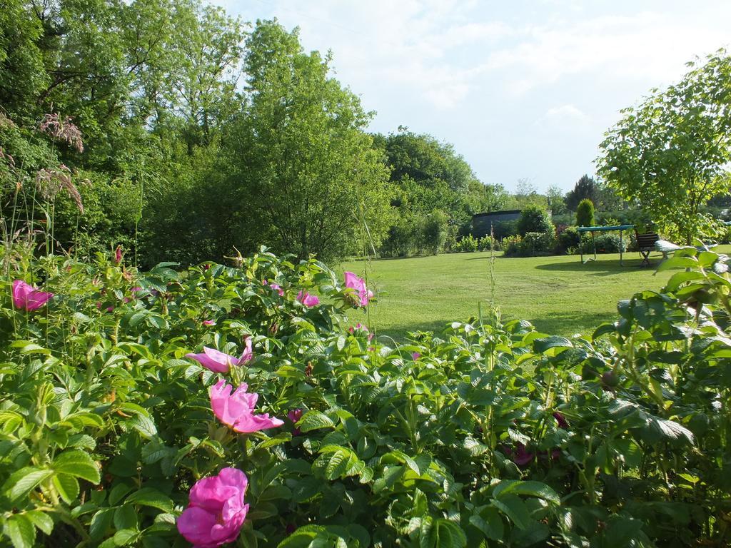 Baytree Bed And Breakfast Carmarthen Dış mekan fotoğraf